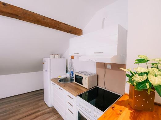 Apartman Aleksandar Lux Палич Экстерьер фото